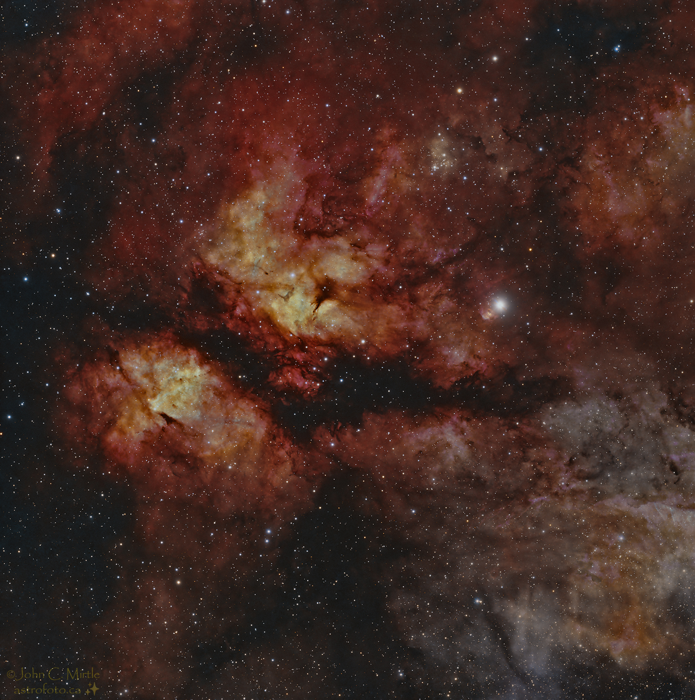 Nebulosity Around Gamma Cygnus