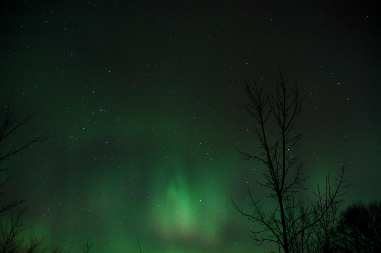 Aurora