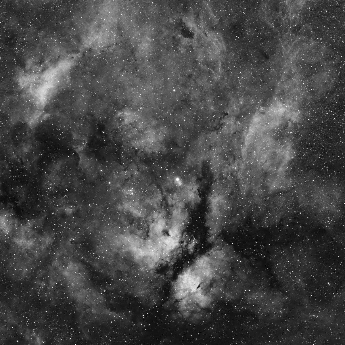 The NAM and Pelican Nebulae in HA