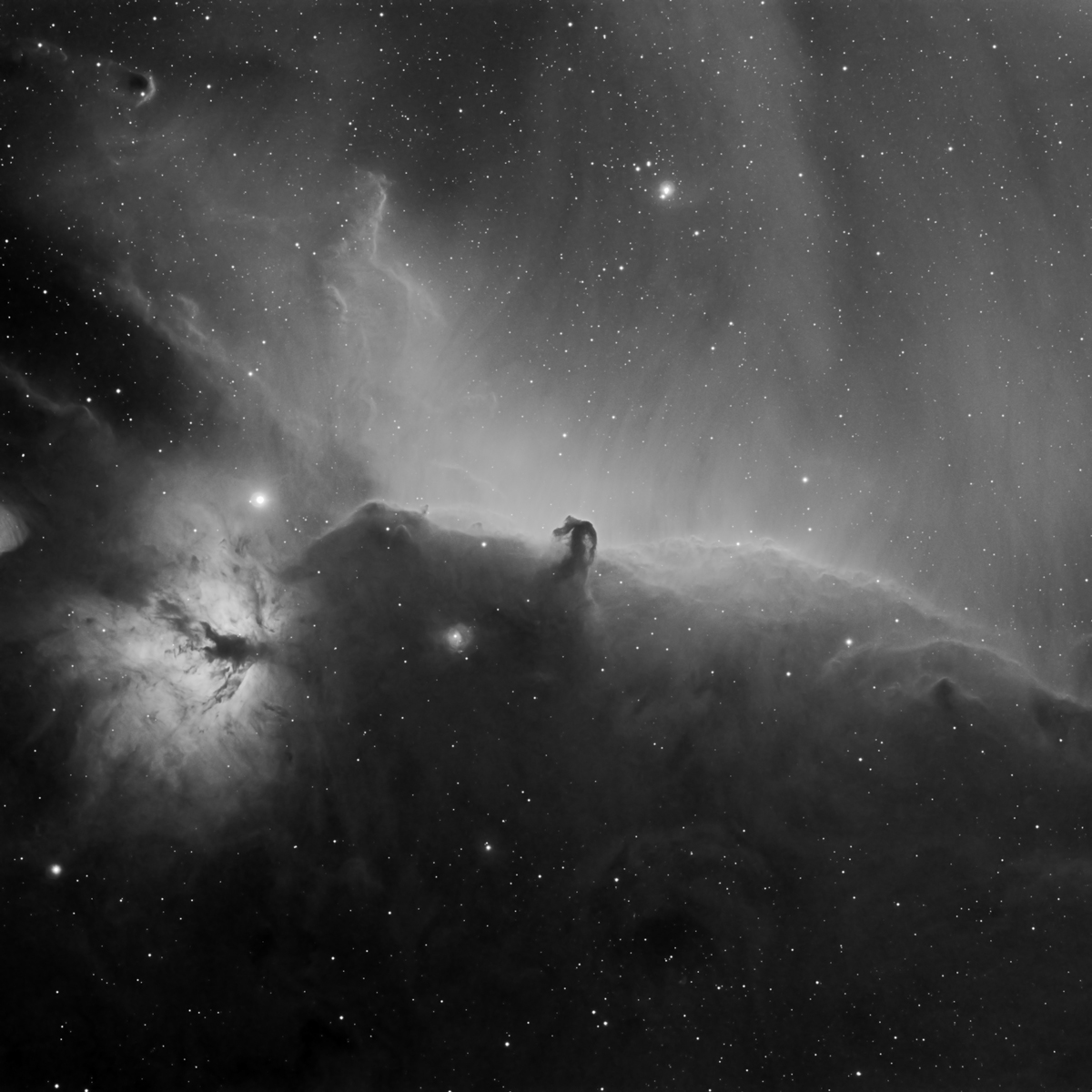 Horsehead and Flame Nebula