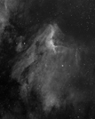 Pelican Nebula in H-Alpha