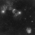 IC443 Sh2-249 NGC2174 NGC2175
