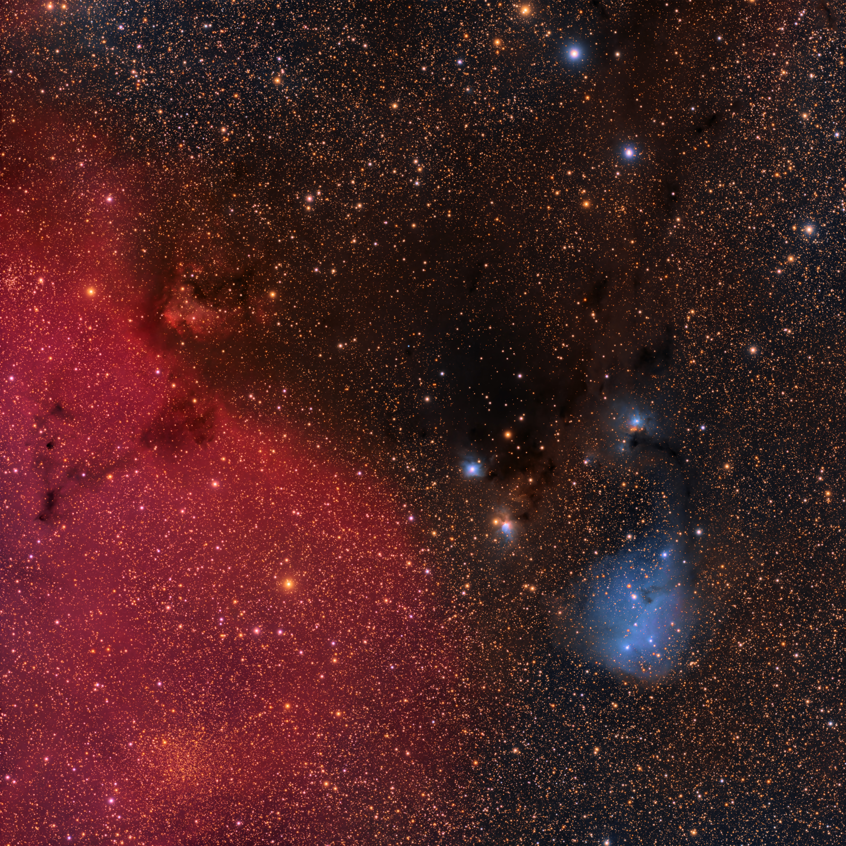 IC446 and IC447