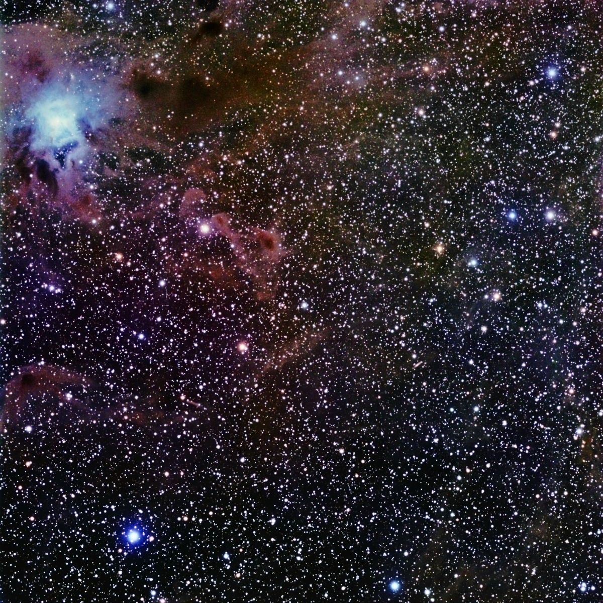 Iris + Dust