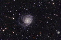 M101 thumb