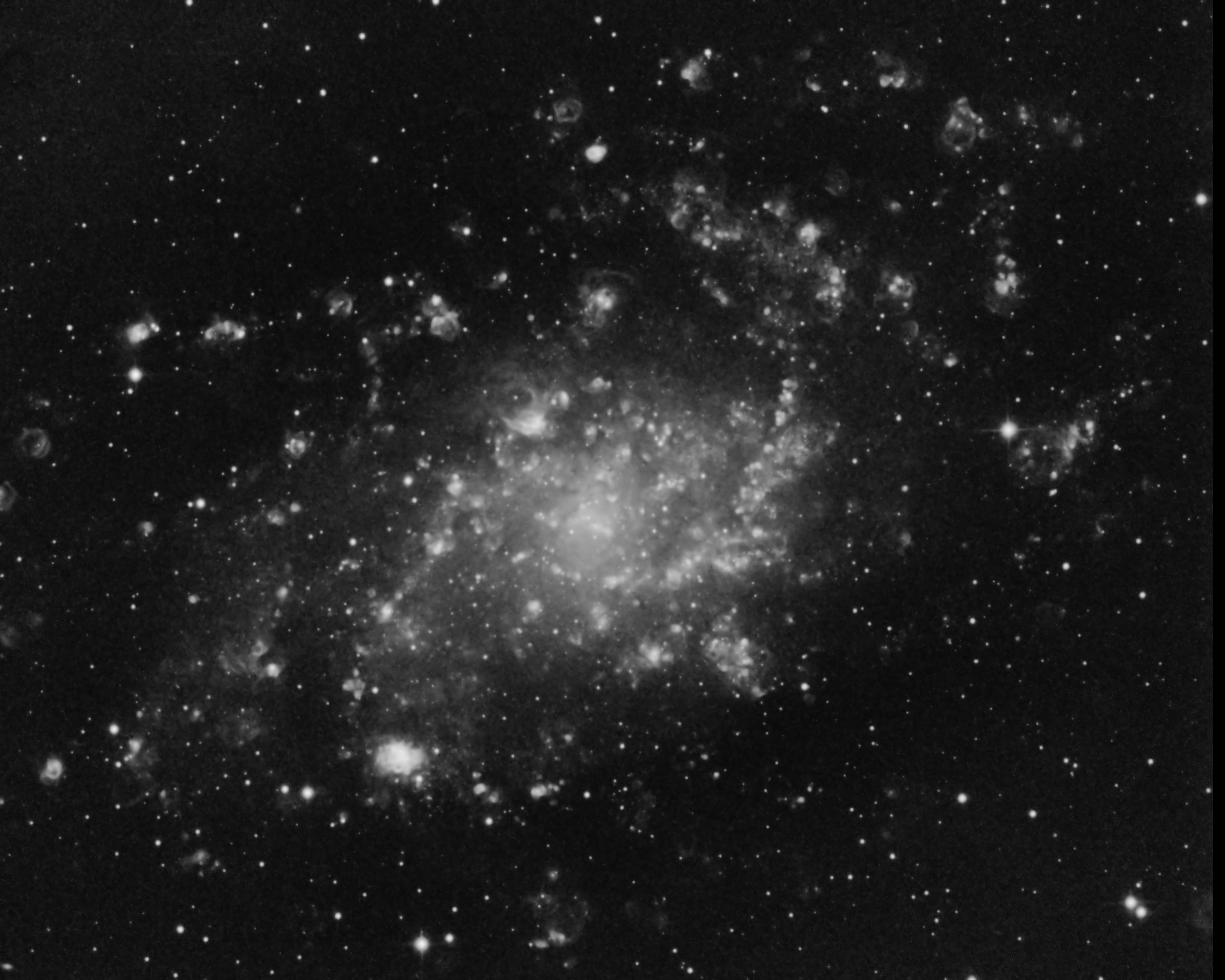 M33 in H-Alpha only