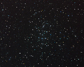 M44 - The Beehive