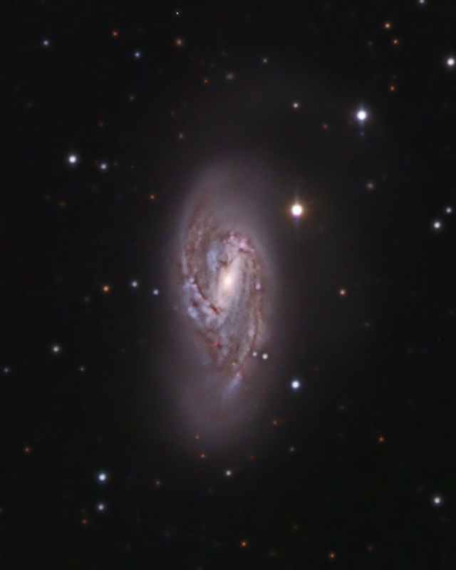 M66