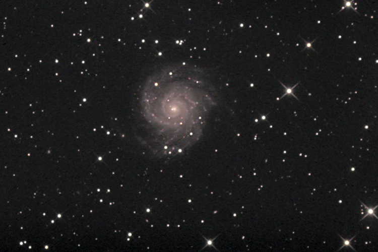 M74