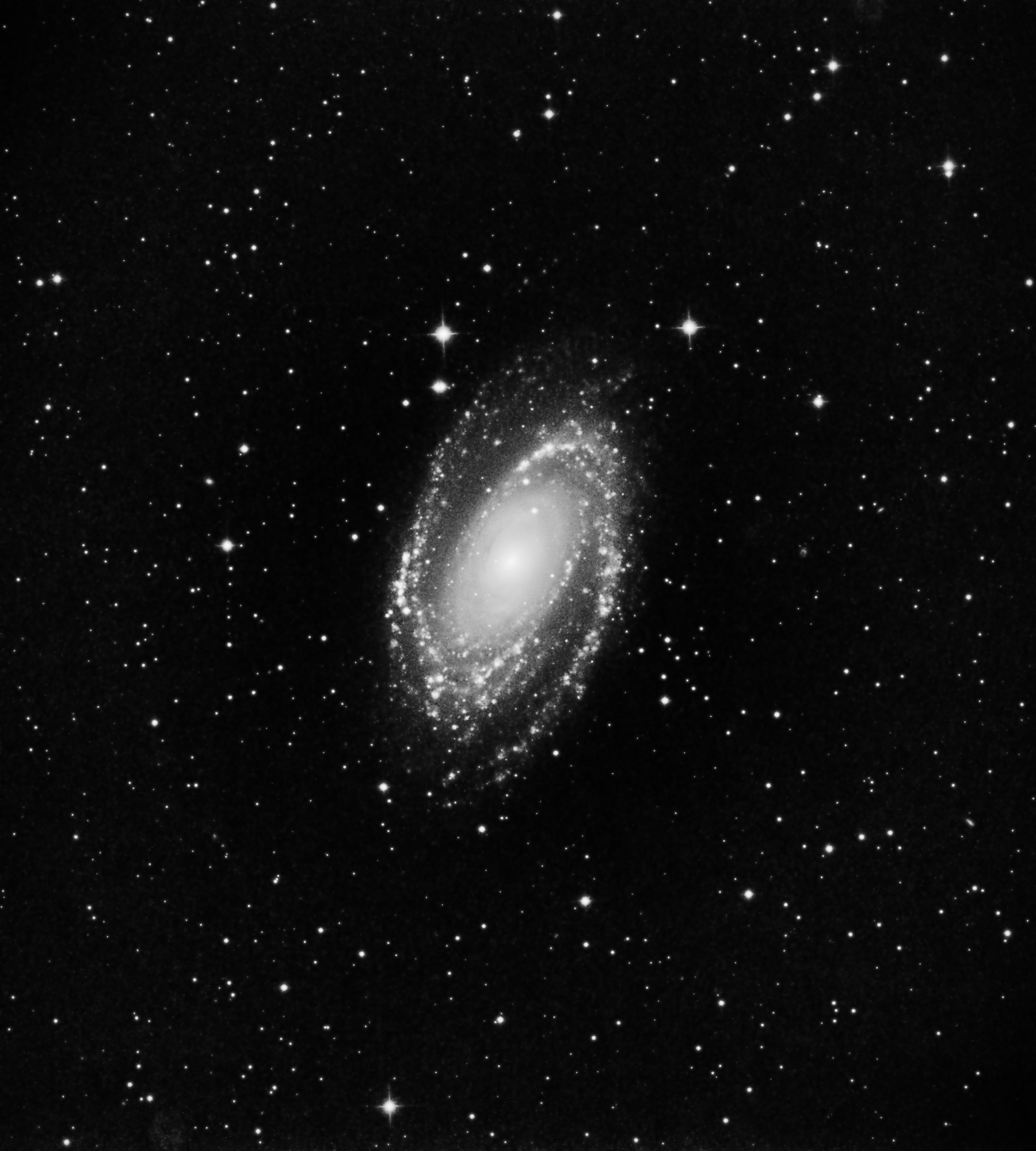 M81 in H-Alpha