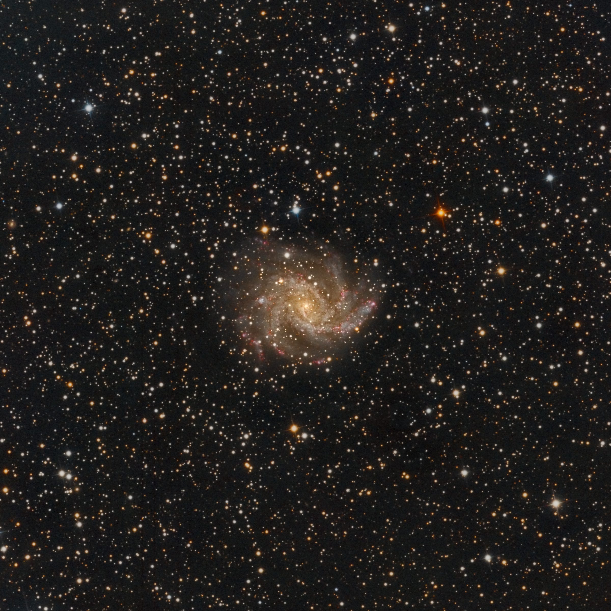 ngc6946