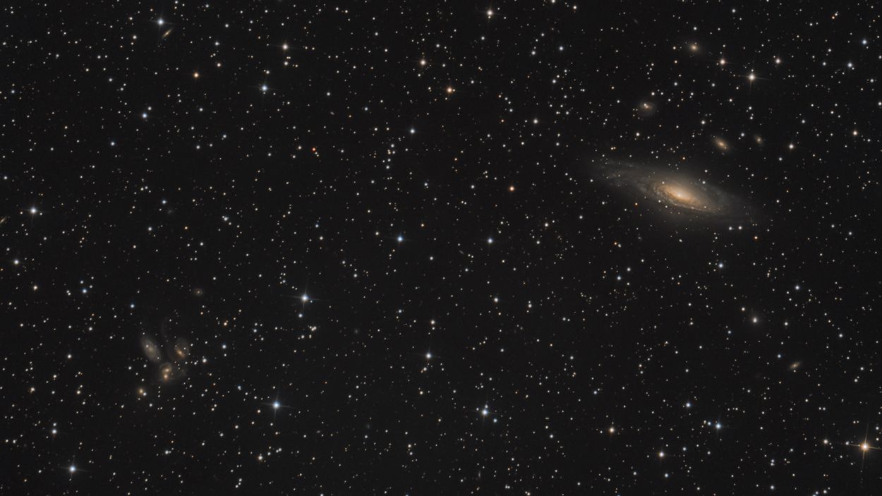 NGC7331