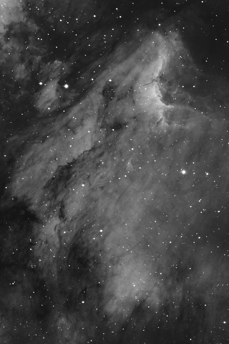 The Pelican in HA