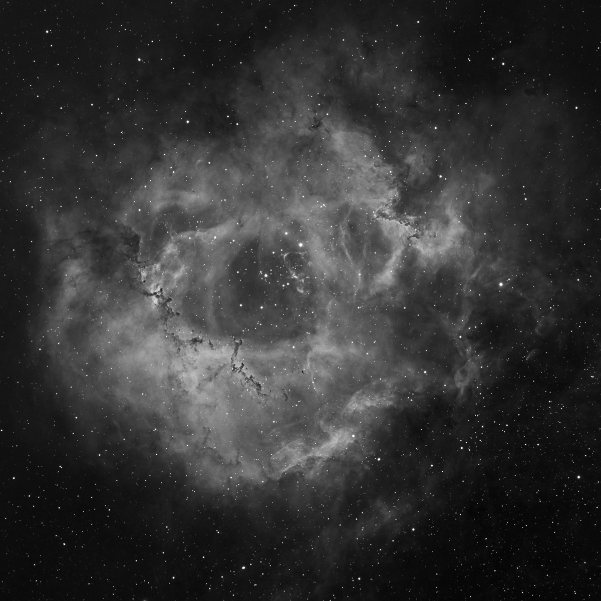 Rosette Nebula