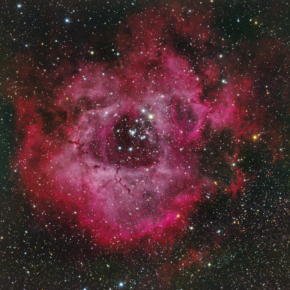 Rosette Nebula