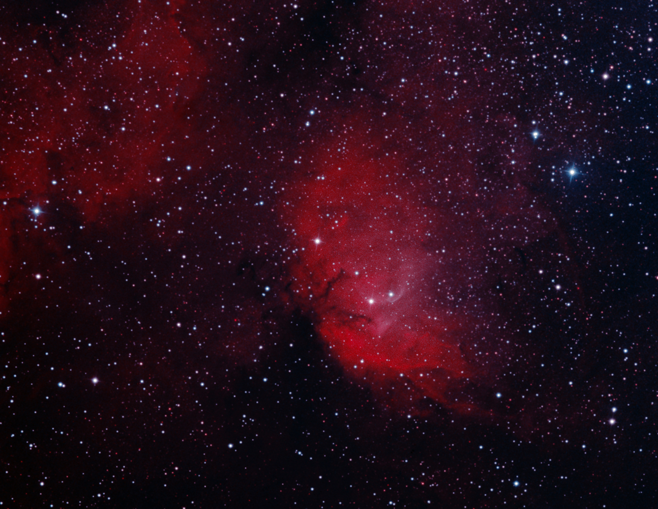 Tulip Nebula Sh2-101