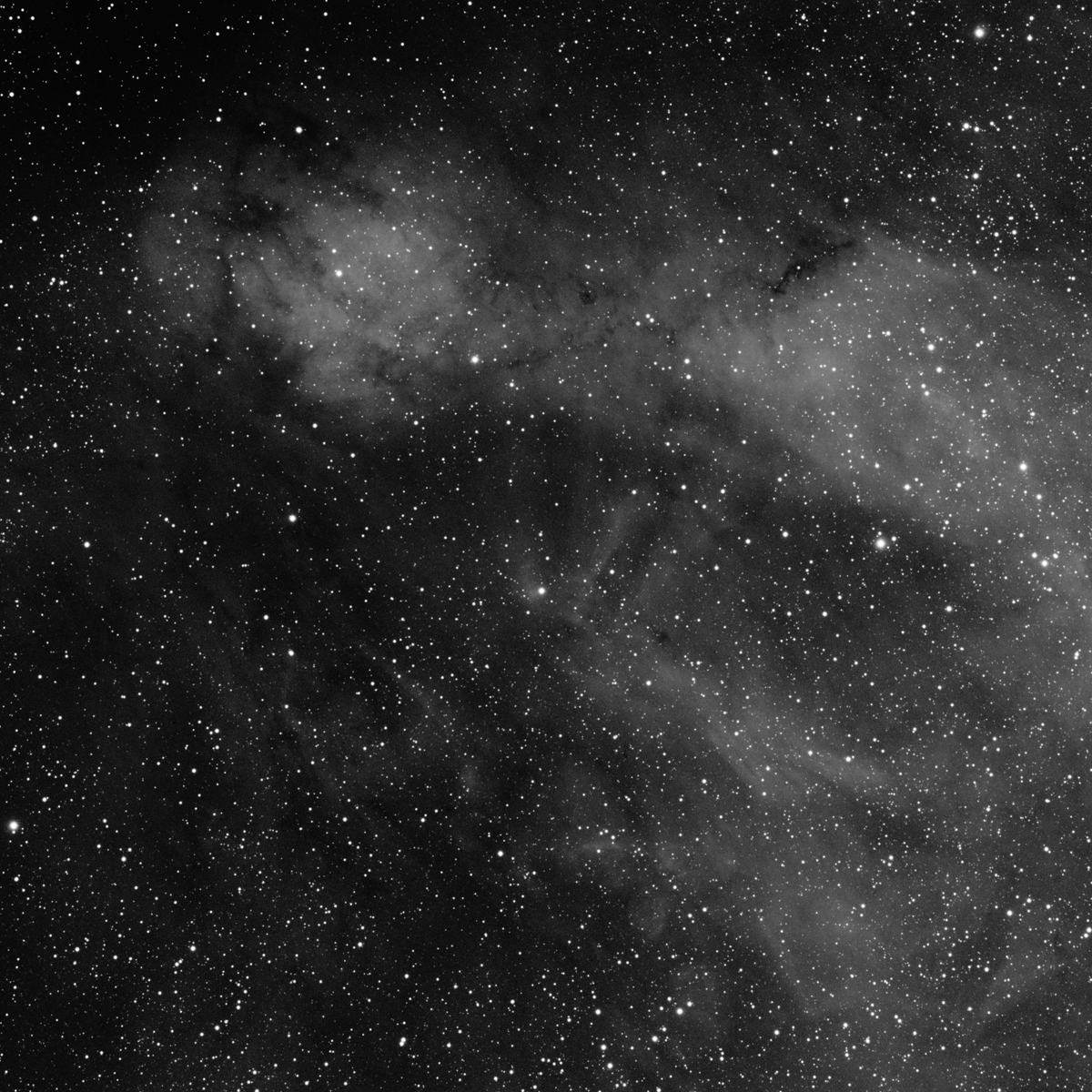 Sh2-205 H-Alpha