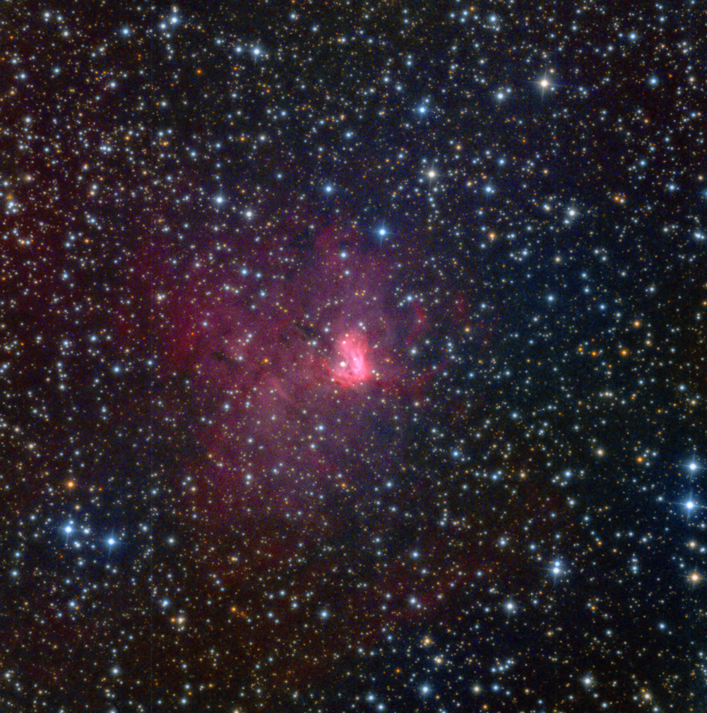 Sh2-206 / ngc1491