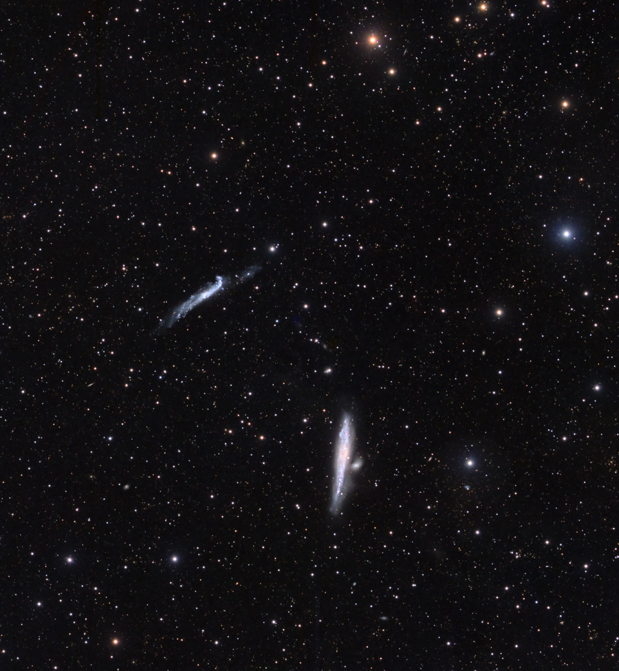 Whale & HockeyStick full FOV