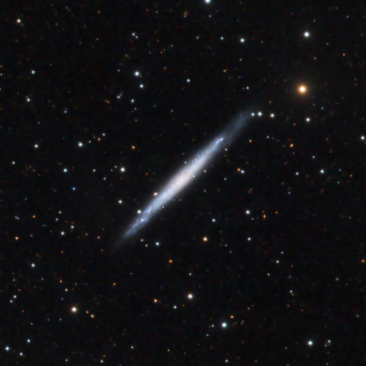 NGC4244 LRGB Crop
