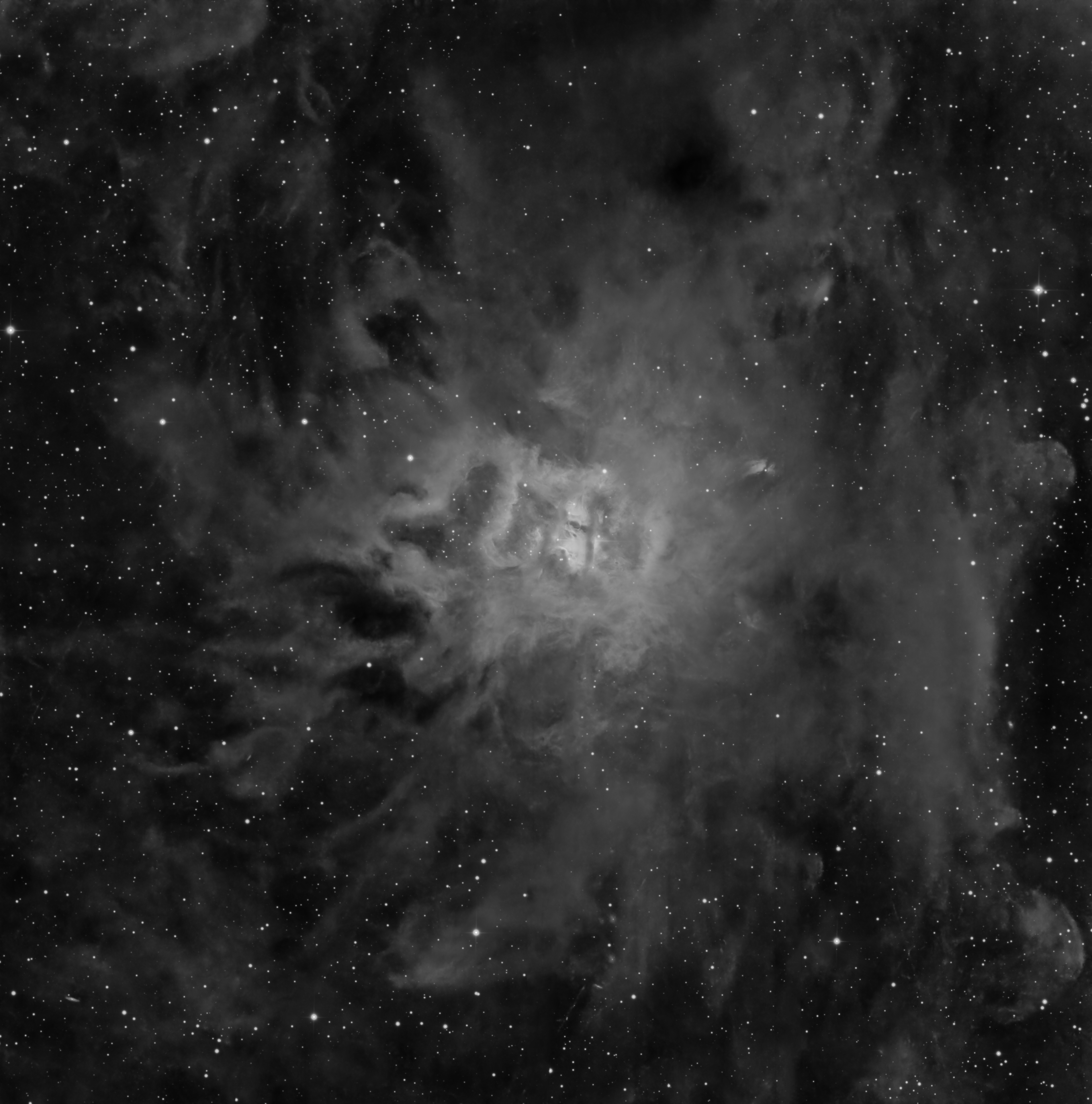 The Iris aka ngc7023 Luminance