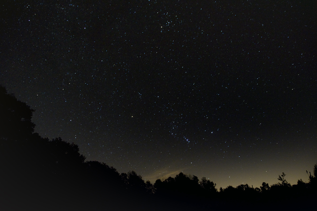 Orion Rising