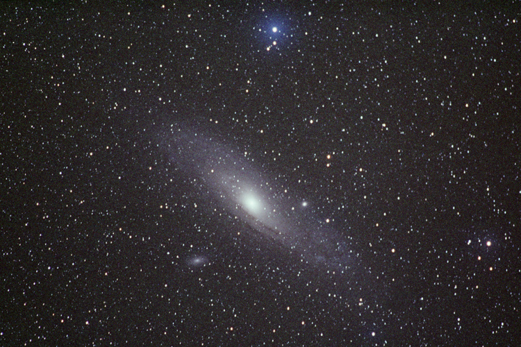 M31