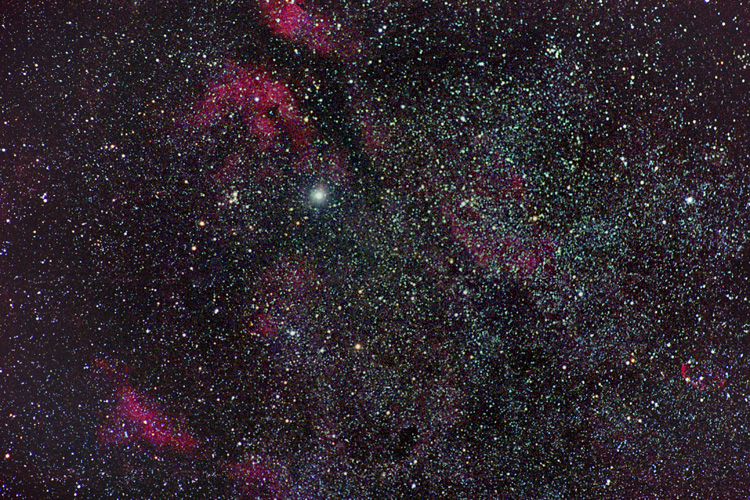 Cygnus widefield